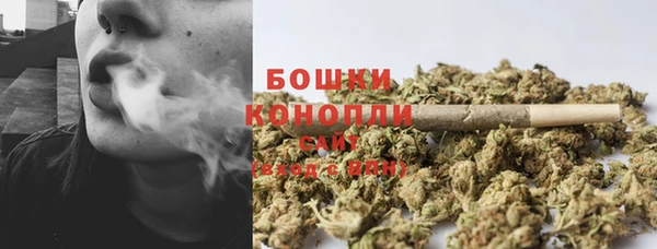 МДПВ Карпинск