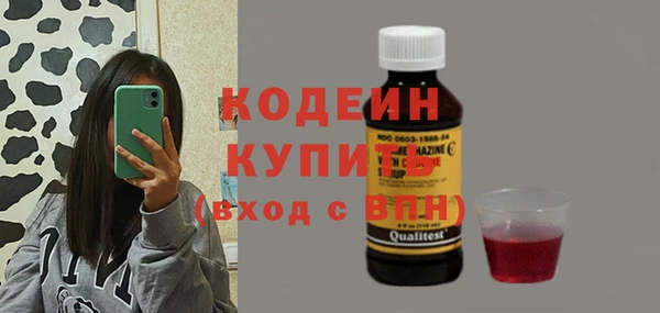 индика Карталы