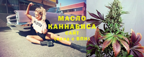 индика Карталы