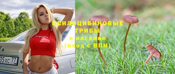 индика Карталы