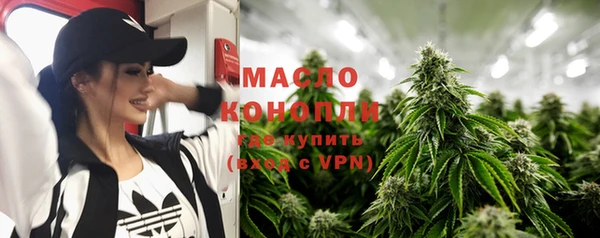 индика Карталы