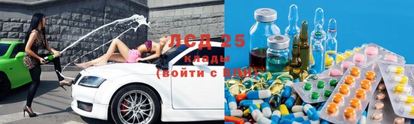 индика Карталы